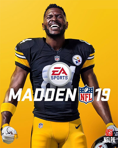 Madden NFL 19 Hall of Fame Edition