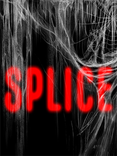Splice: Game Engine and Development Environment