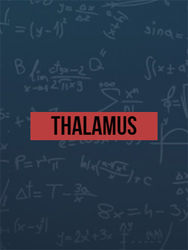 Thalamus
